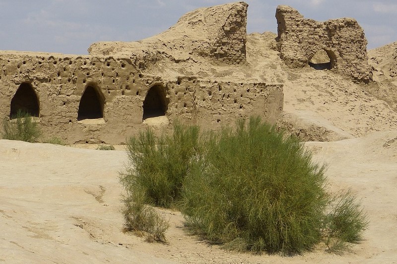 Unveiling the Enigma Unearthing the Desert Wonders and their Extraordinary Ecosystems